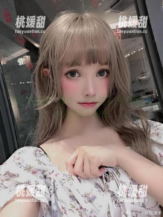 逐梦兔女郎：跟随一千只猫薄禾的作品集探索原图的秘密
