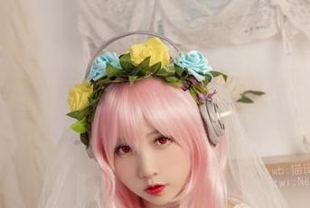 无圣光的猫田圣奈奈，让你在猫娘乐园和椰子女仆中乐不可支！
